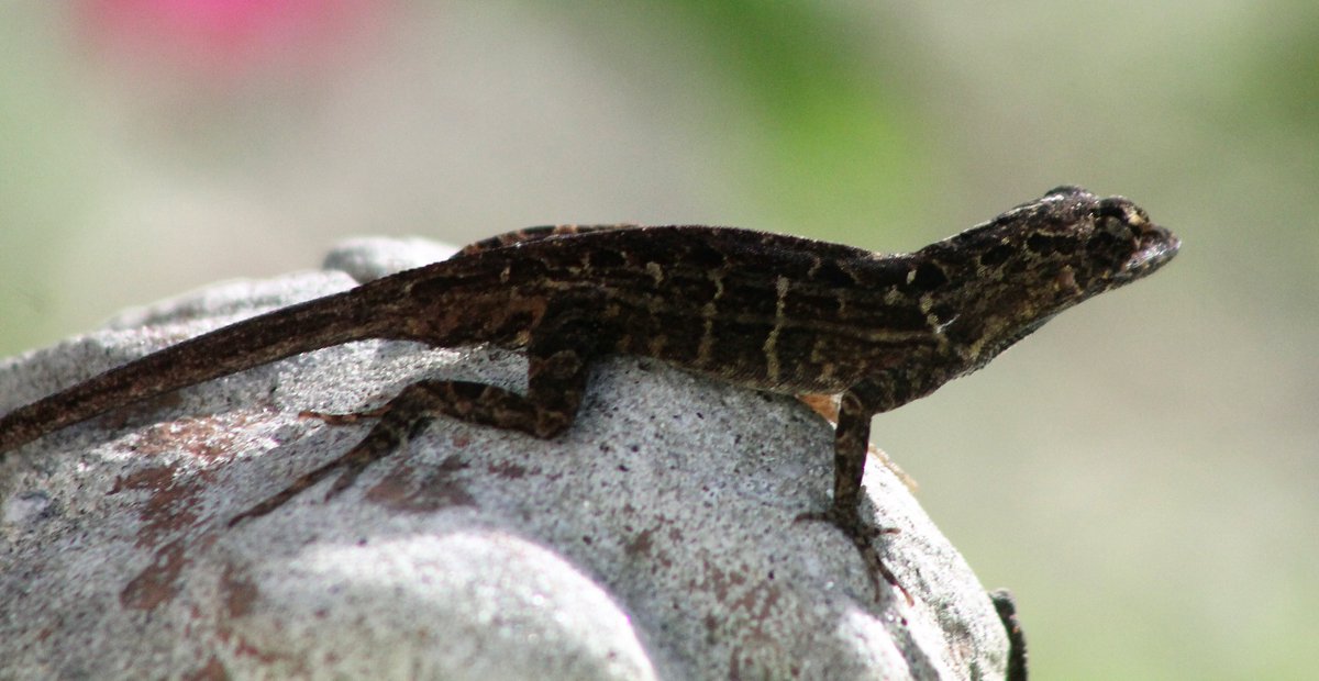 Shared from Photos app
1 photo