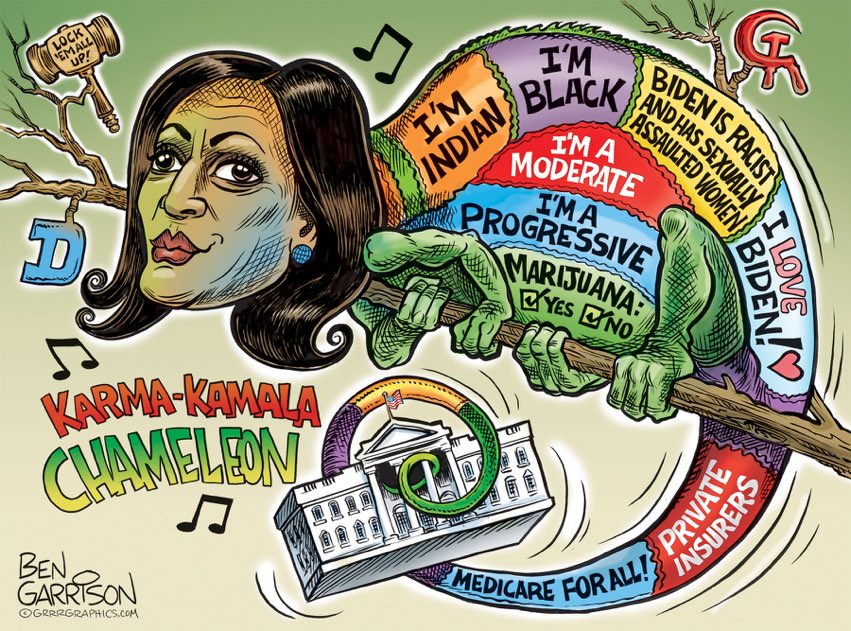 RealJamesWoods's tweet photo. 🎼Kama Kama Kama Chameleon 🎶 https://t.co/0z11lxj2o7