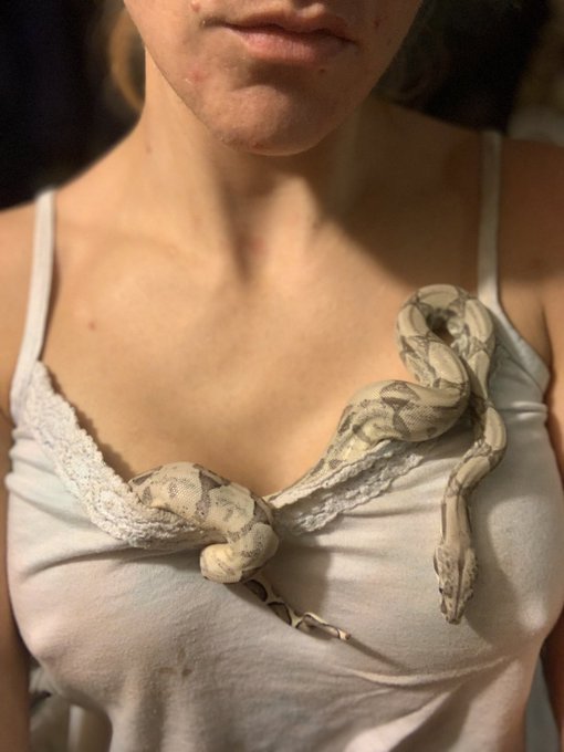 Like my new head set, shirt accessory and bracelet!! #snake #exoticpets #me https://t.co/14SpCVV8E9<a href="/tag/me"class="tags"><span>#me</span></a><a href="/tag/snake"class="tags"><span>#snake</span></a><a href="/tag/exoticpets"class="tags"><span>#exoticpets</span></a>