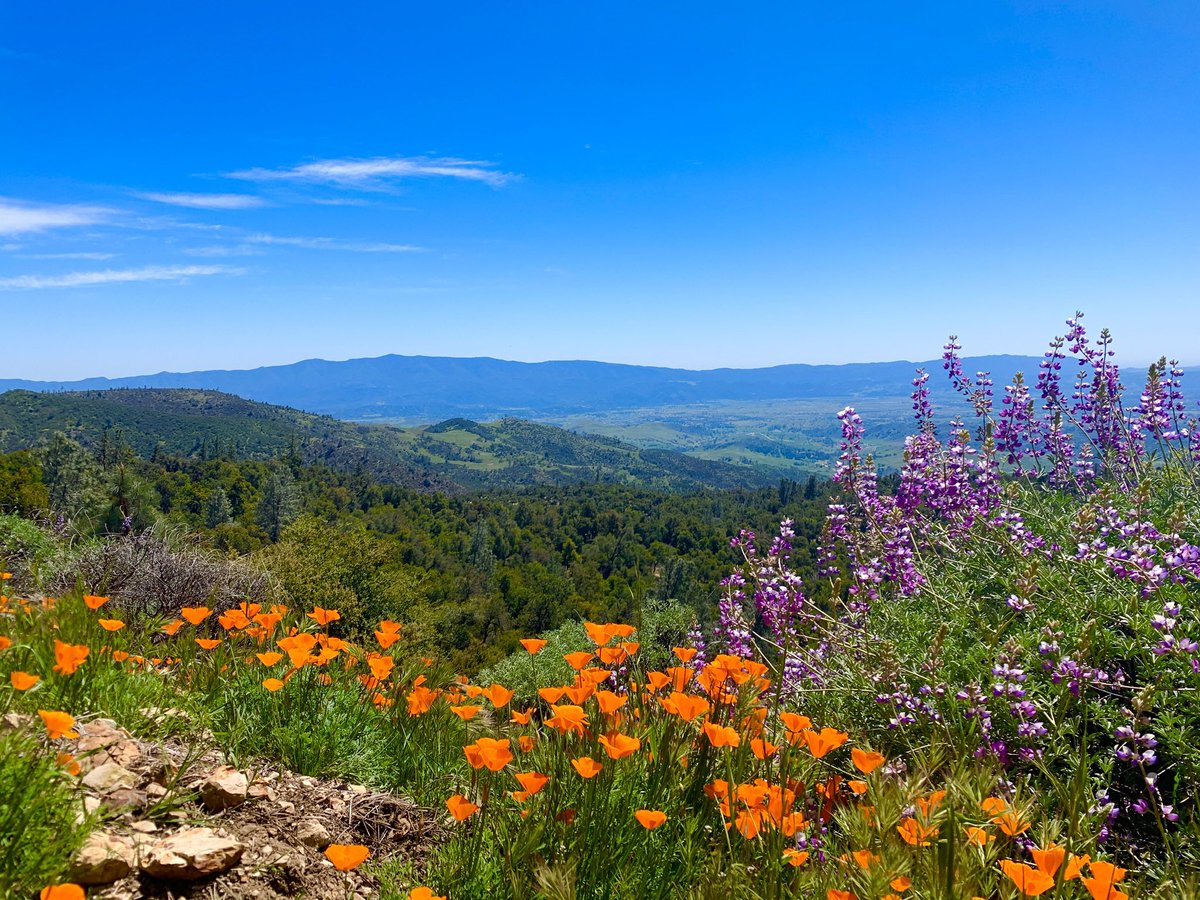Keys2theCoast's tweet image. The world is full of beauty and tranquil spots to explore. Our website shares more detail on 
 our favorite places to go.www.Keys2theCoast.com
#nature
#k2tc  #naturelover #redrockcanyon #figuroamountain #California 
#nevada #summerlin #hiking #centralcoast #santaynezvalley #nature