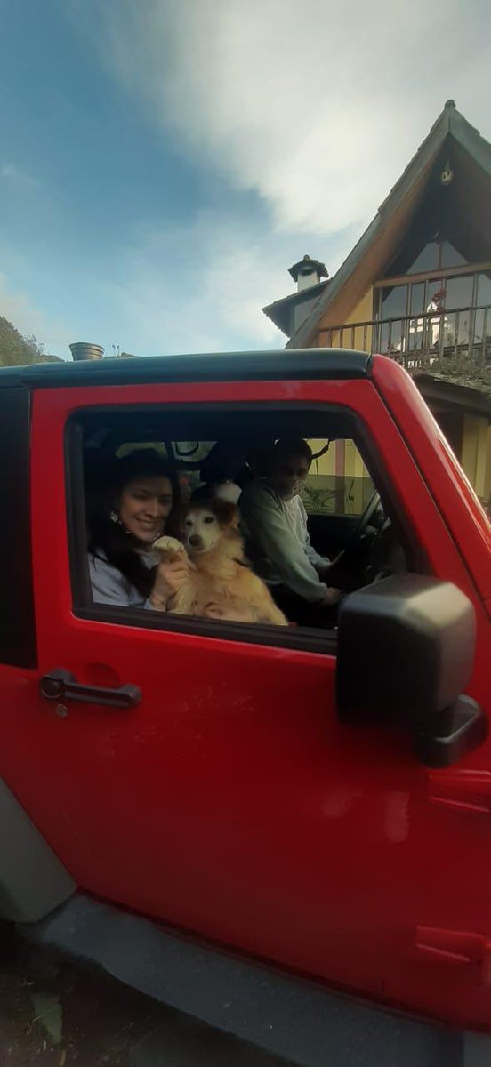 PetAngelsCol 🐱🐶 tweet media