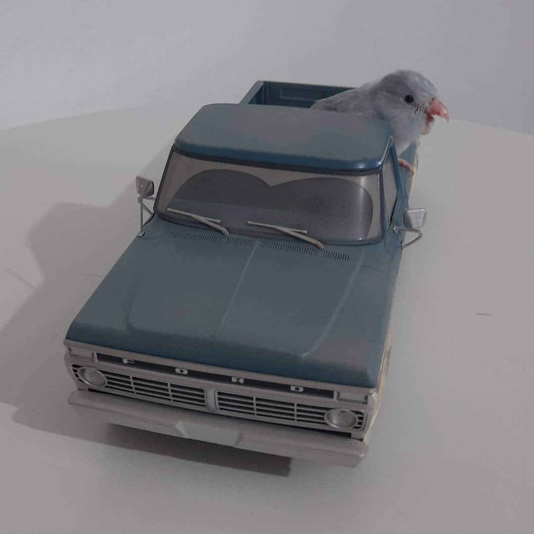 En küçük #WalkingDead hayranı 😊
#walkingdeadcar #forpus