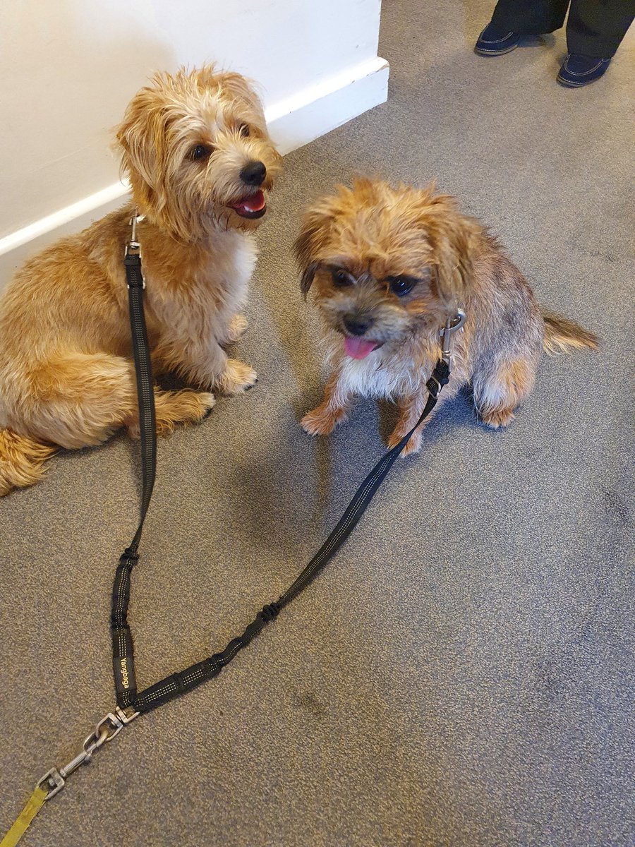 Townend Close Keighley Care homes in Keighley Anchor Hanover