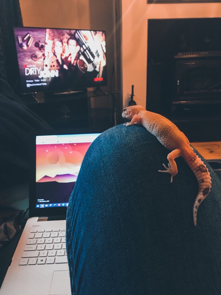 CraftyPinata's tweet image. Cozy night in with the boi. 🦎💕
