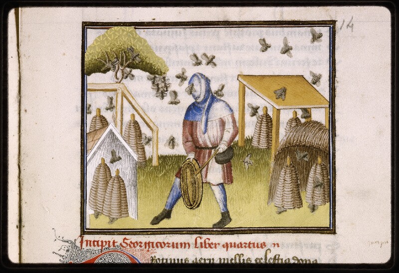 Another chap making noise, this is called "tanging" and seems to get bees their attention, so you can move into a hive or wherever you want them to go. http://initiale.irht.cnrs.fr/codex/2618&nbsp;