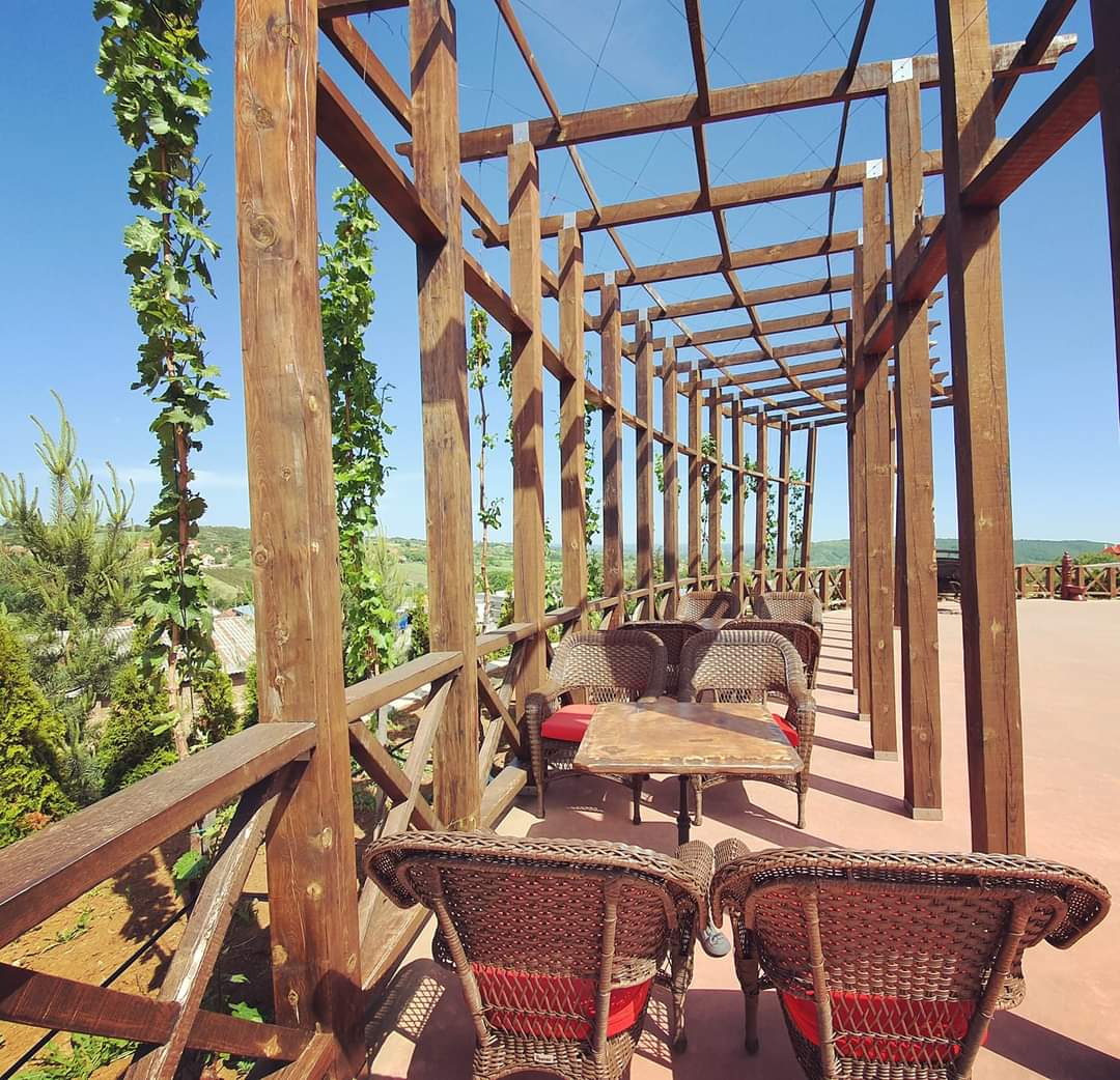 Raj u srcu Šumadije. 🍷
-------------
Paradise in the heart of Šumadija. 🍷

#pikoplenac