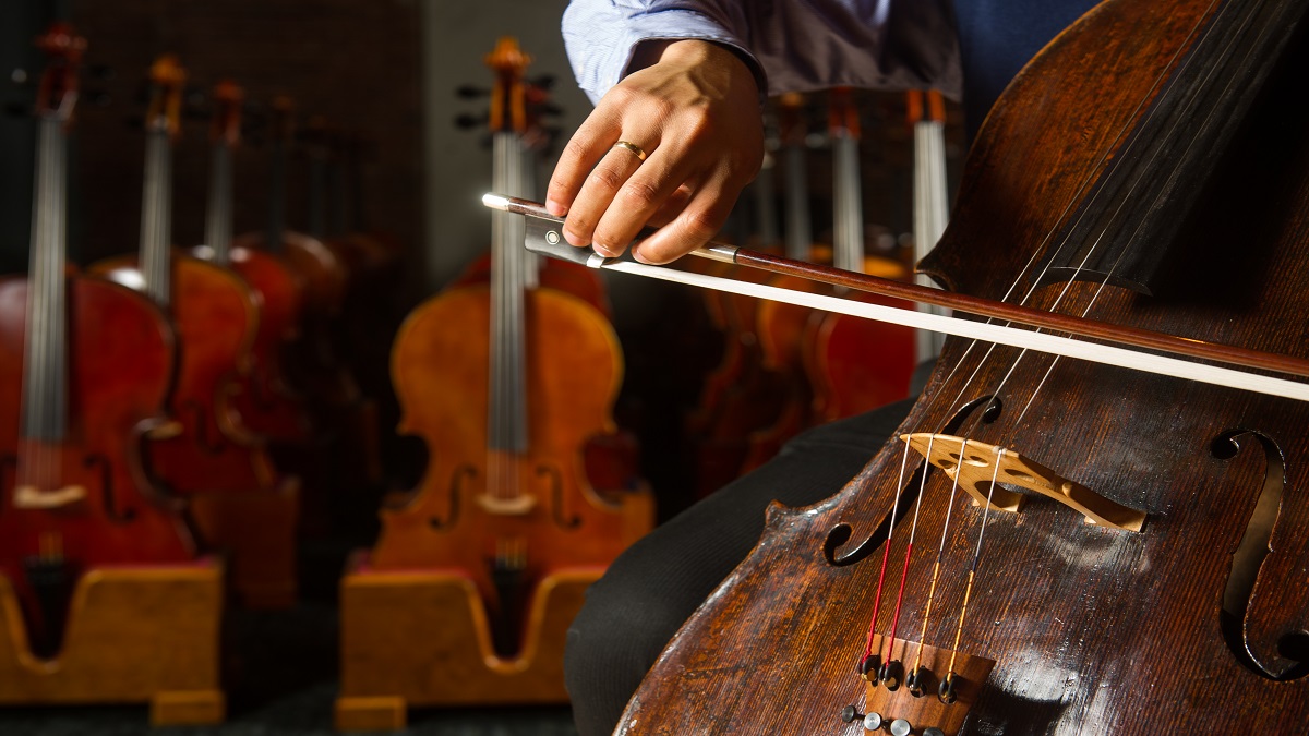 Johnsonstring's tweet image. We are here to help you choose the best #cello bow for your level of expertise and playing needs. 
johnsonstring.com/cellos-facts/C…  #stringedinstruments #musicians #musicequipment