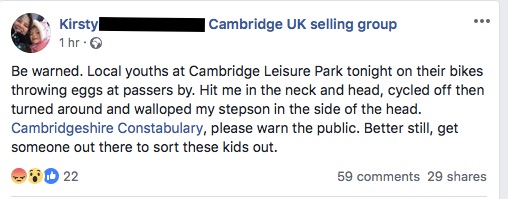A crime is reported in a local facebook seller's group: A Thread [1/12]