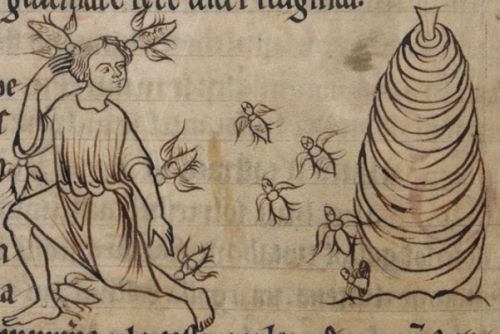Oh dear.A swarm of bees in an English bestiary (4th quarter of the 12th century): Add MS 11283, f. 23v http://www.bl.uk/manuscripts/FullDisplay.aspx?ref=Add_MS_11283