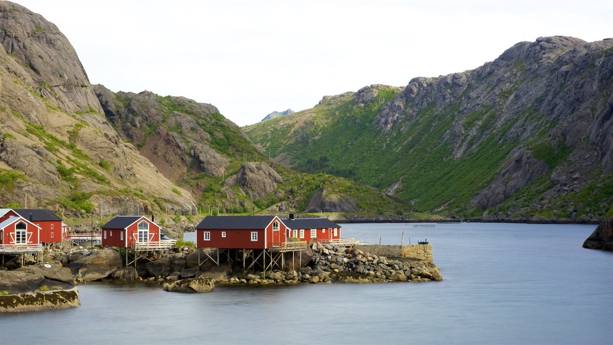 lcdp_itzi's tweet image. 🇳🇴 Leknes, me llamo Leknes 🇳🇴