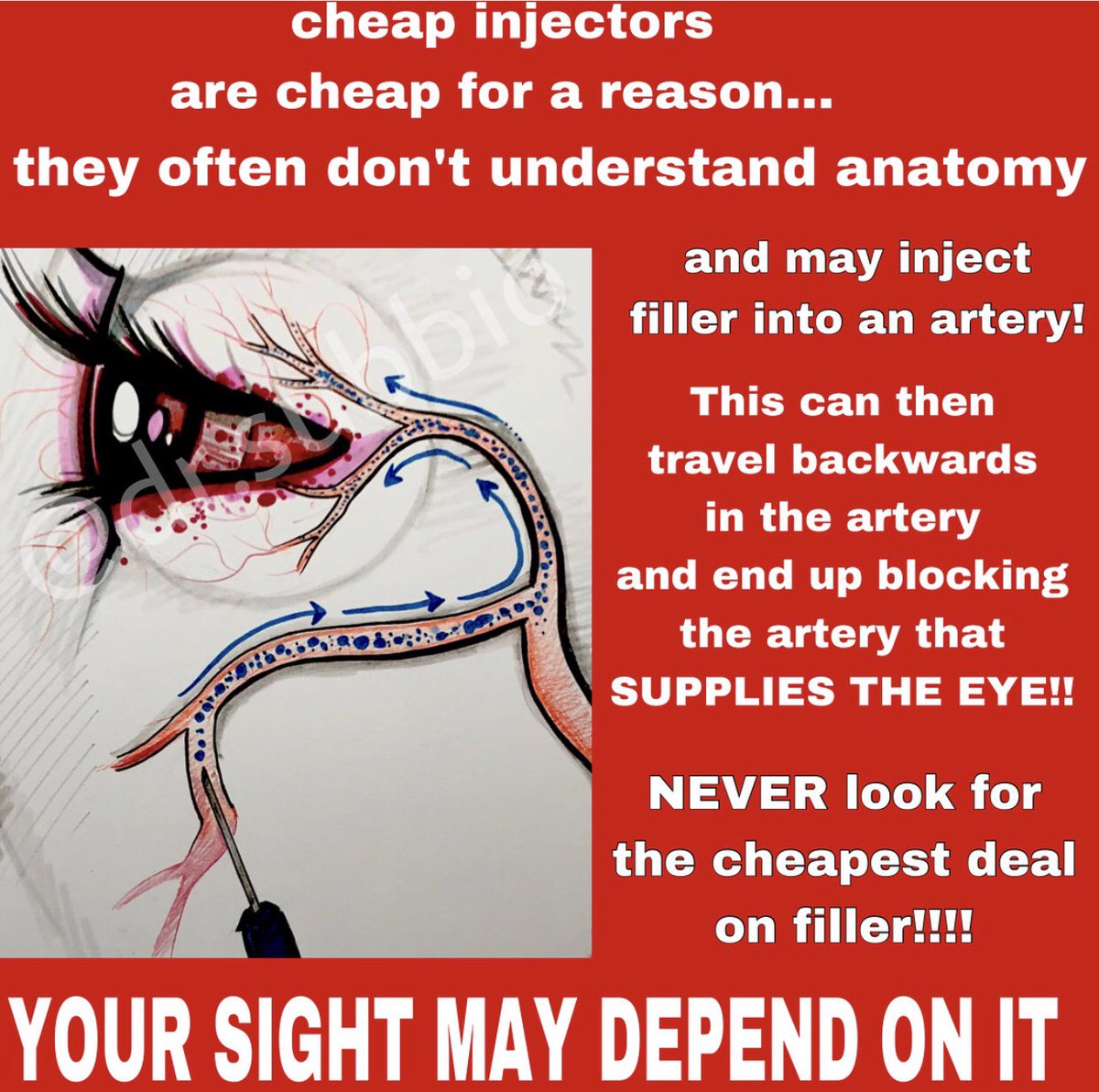 Augmented Anatomy tweet media