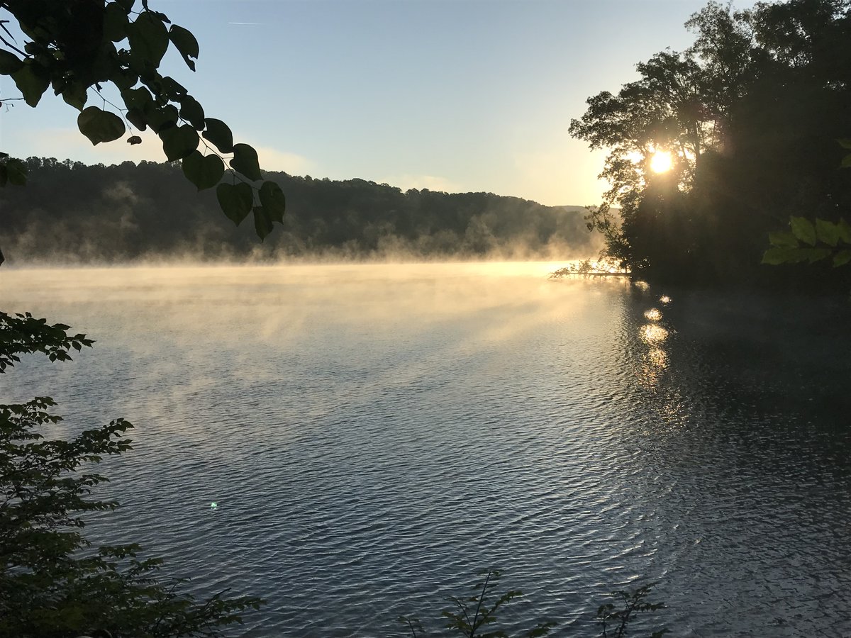 I grew up seeing little pebbles of foam floating on my beloved  #NorrisLake -- so I decided to figure out where they were coming from. My journey took me from a secret swimming cove to a confused marina employee to a revelation about the nefarious nature of plastic.