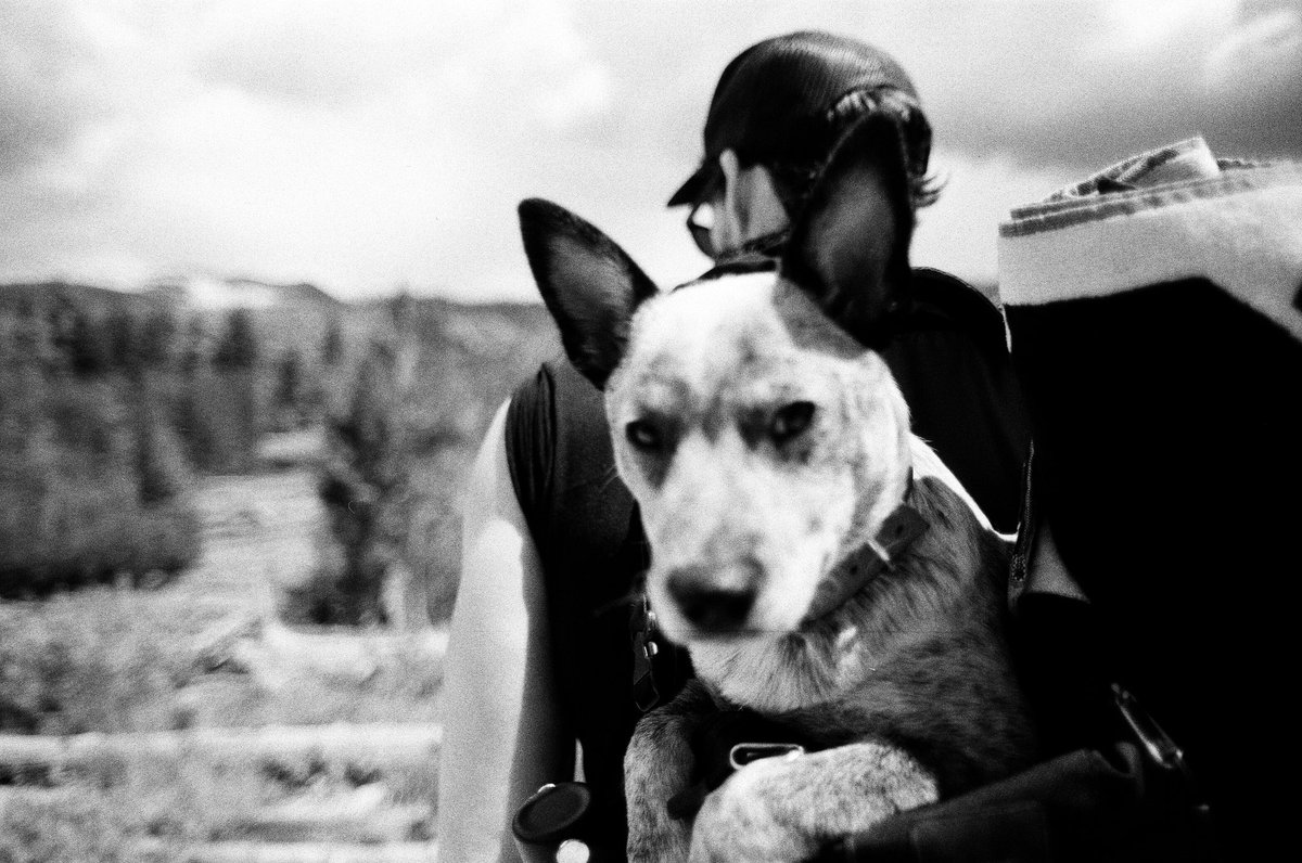 AustinNichols's tweet photo. Great shot taken by @theshawski on real film. https://t.co/XlDJN8mhoN