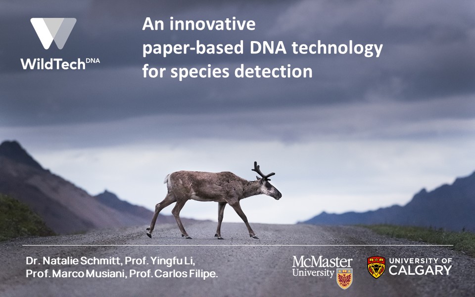 We are looking for a motivated PhD student interested in biotechnology innovation for conservation to work with us. Opportunities in South Africa, Germany and Lat America. #phd #tech4wildlife #wildtechdna #conservation #biotechnology #illegalwildlifetrade findaphd.com/phds/project/a…