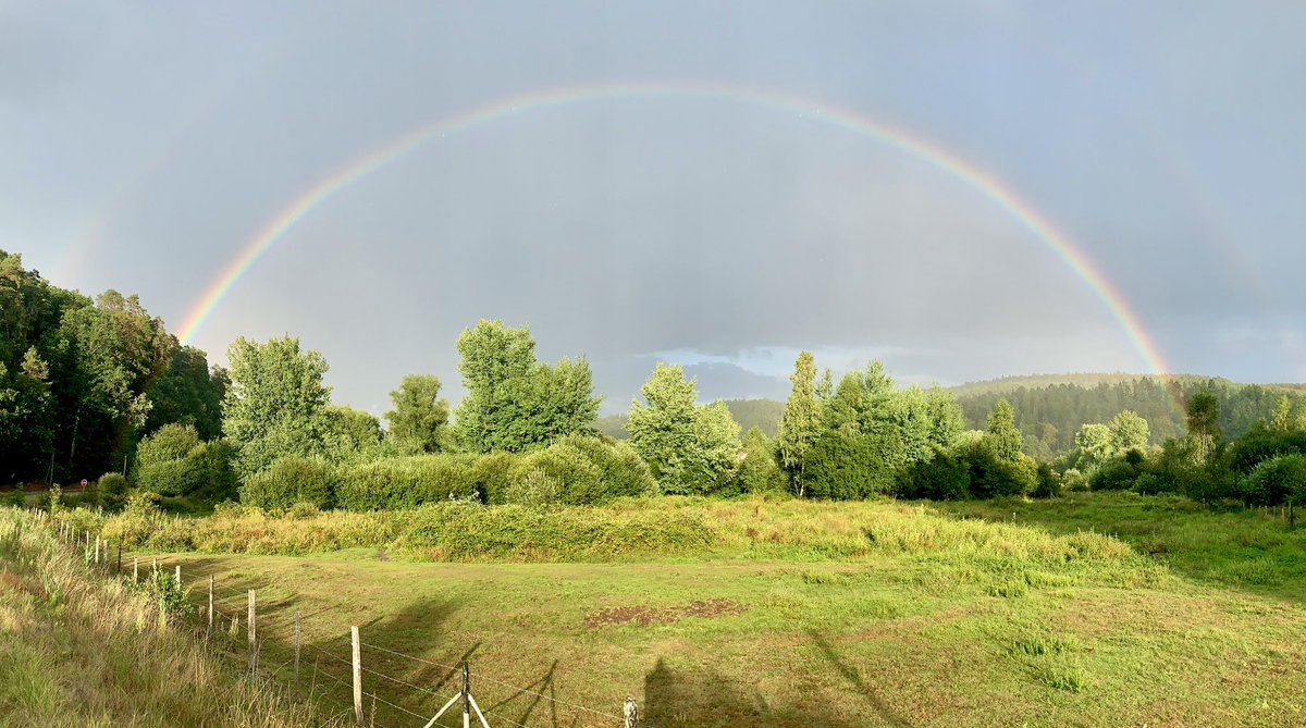 Rainbow @sturzelbronn 😍