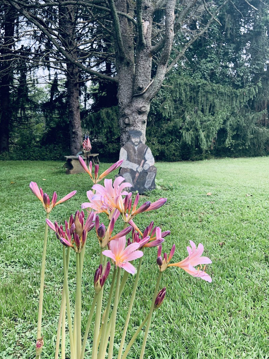 Here are a few flowers. May they brighten your day. Also pictured is a flat wooden man to scare the deer. It doesn’t work.