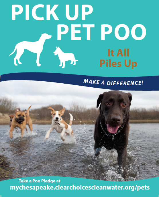 WaterkeepersCP's tweet photo. You can do your part to help stop polluted runoff by taking a #ClearChoices ##CleanWater pledge to implement water-friendly practices like picking up pet waste, rain gardens and more https://t.co/wZghQmJSAm #pollutedrunoff #MakeaDifference https://t.co/RtvC6FzyyP