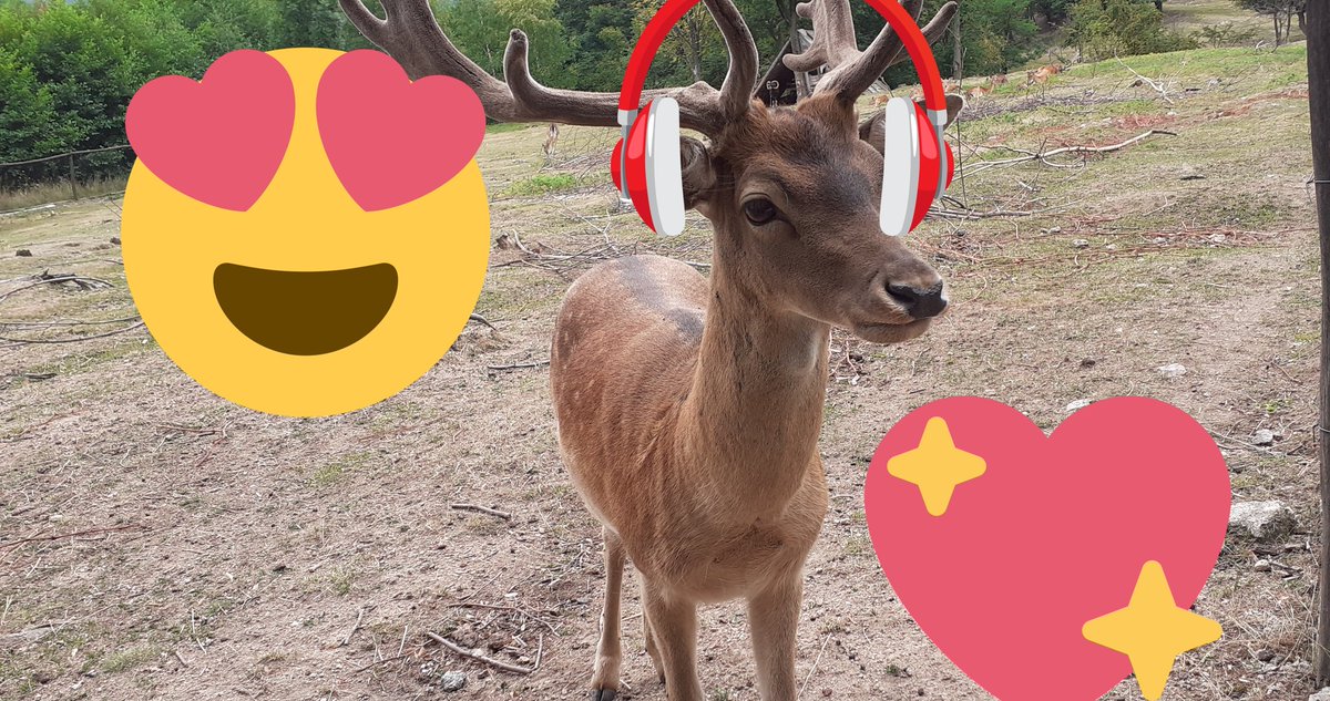 Hi there wanna be my friend I am a deer . ❤❤🔥🔥