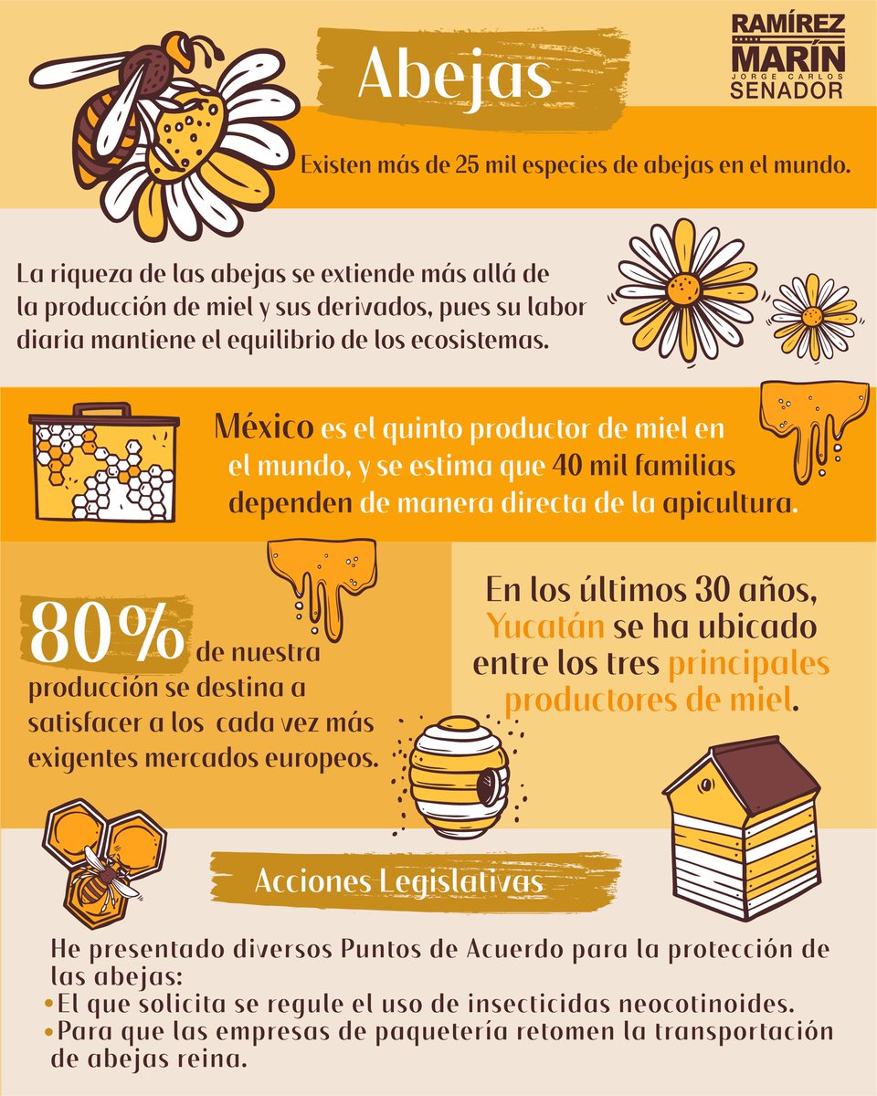 Las abejas son animales fascinantes, su papel en la preservación de la humanidad es fundamental. En el #DíaNacionalDeLasAbejas reconozcamos su importancia y cuidémoslas. #SalvemosALasAbejas 🐝