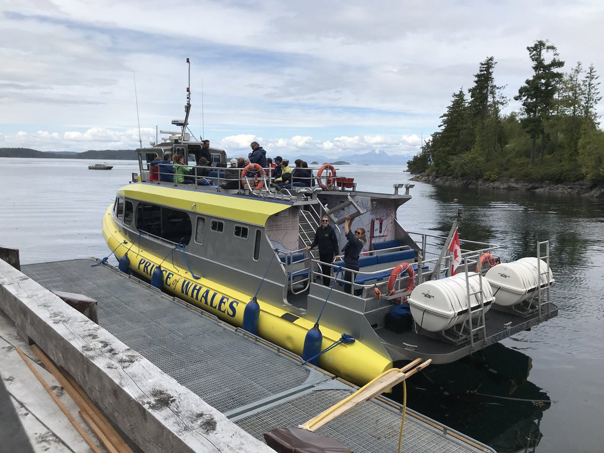 Attention all North Island locals 📣

If you live in Woss or north you will receive a 50% discount on Ocean Magic II's @9:00 am or @ 6 pm departures! **Limit of 4 per party, with proof of address.

To book call the Telegraph Cove office @ 1-888-383-4884