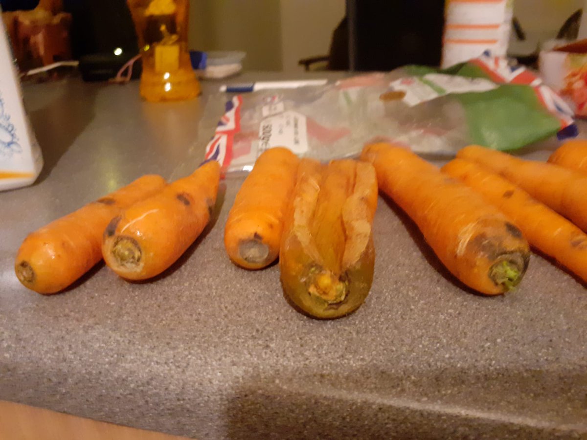 MiddleMoon's tweet photo. @Tesco Hi there, bought a bag carrots from a Tesco Express yesterday evening, stored according to the instructions, and today they were opened to have mould over every single carrot. https://t.co/j9FQtTmKFg