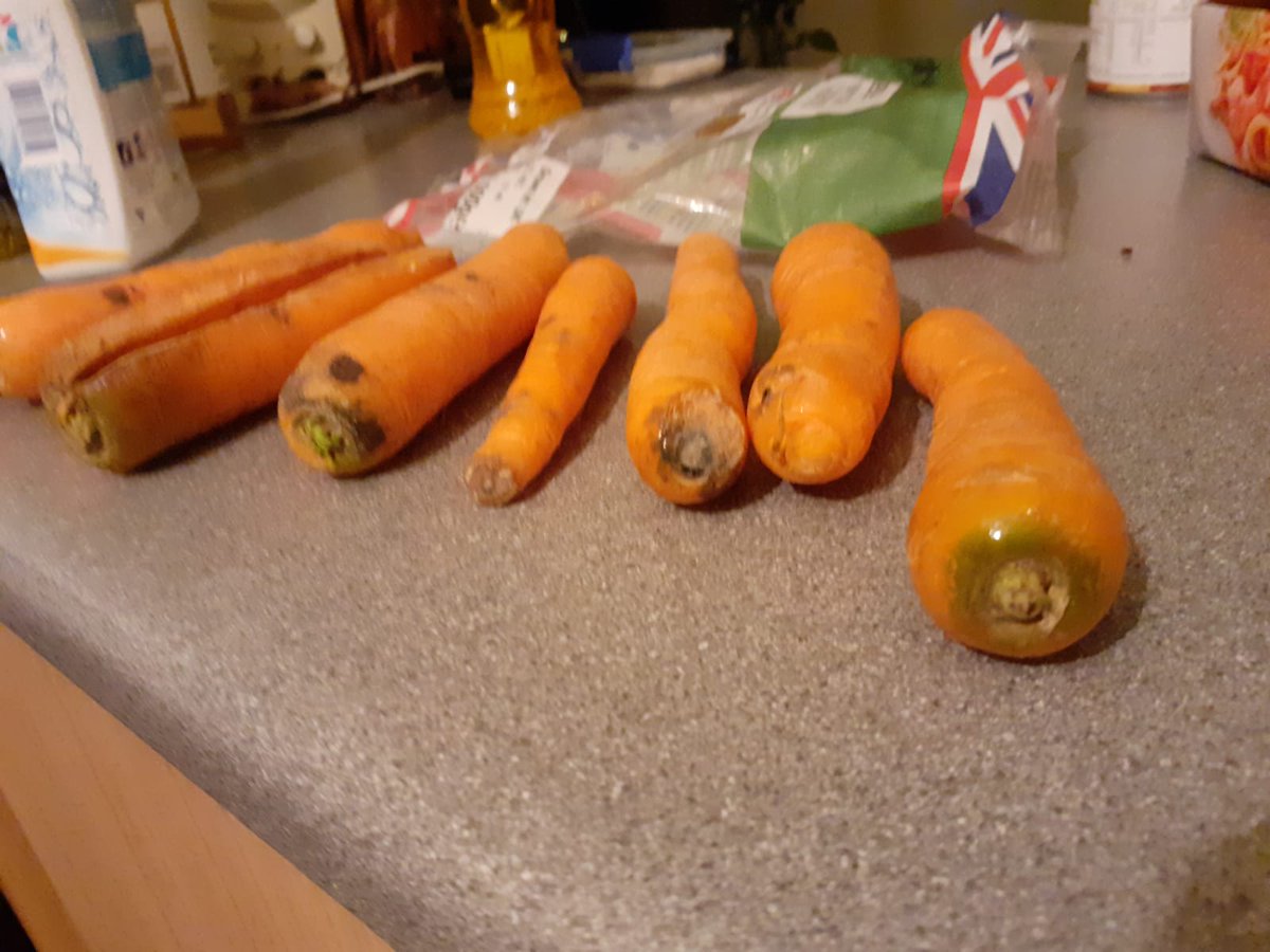 MiddleMoon's tweet photo. @Tesco Hi there, bought a bag carrots from a Tesco Express yesterday evening, stored according to the instructions, and today they were opened to have mould over every single carrot. https://t.co/j9FQtTmKFg