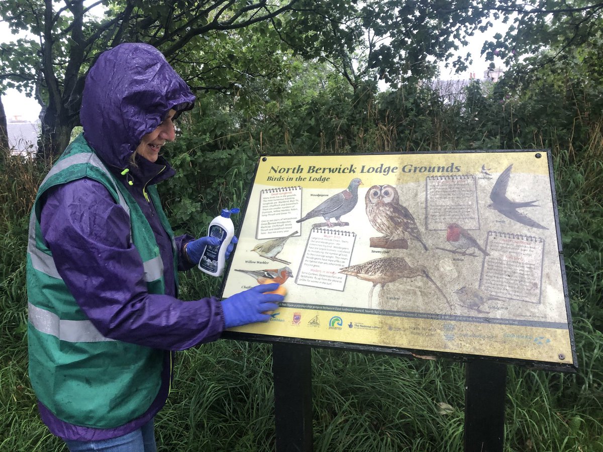 NBinBloom's tweet photo. It was too wet for gardening today so we tackled the dirty information boards in the lodge instead. Here are some ‘before and after’ pictures. Maybe we should have a community day to do more ? @NBRotary6554 #northberwick #KSBScotland #elcouncil #elcourier https://t.co/CcLyJFscfO