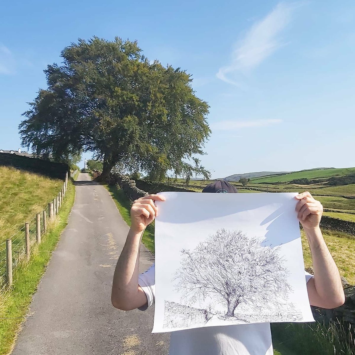 K_athrynWilson's tweet photo. The Beech Tree

#Drawing #Beech #Tree #Cumbria #Lakedistrict #fineart https://t.co/RZguw0I7T6