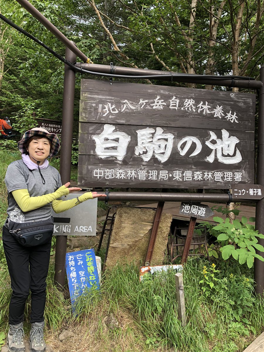 しげ 白駒池 昨日着いたときの写真と 今朝早くの静かな湖面の写真です 朝の白駒池は静かで綺麗でした