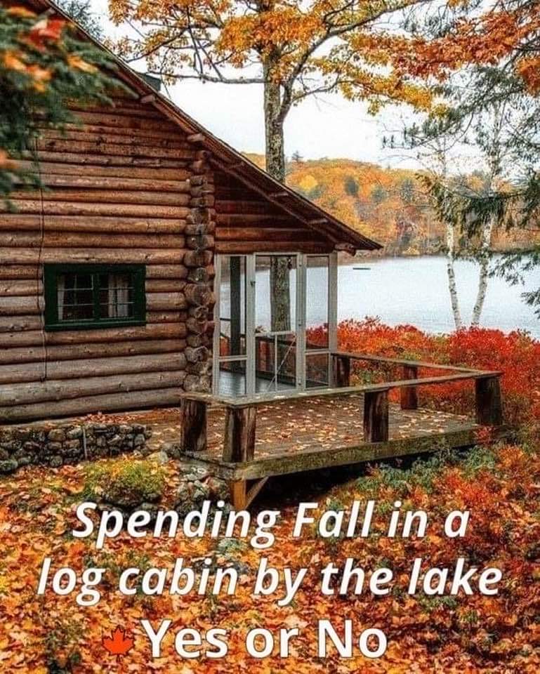 LiseNilsson2's tweet photo. I long for autumn , September is my favourite month 🍁🍂🌱
#Autumnisbeautiful https://t.co/RBw9u3HByh