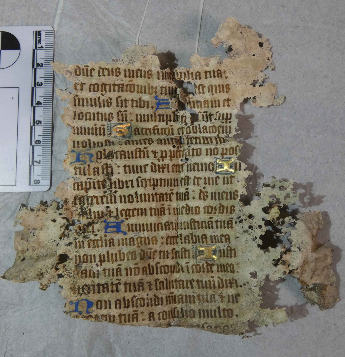 However, the two star finds weren't found by me at all - but by the builders - all of whom got the archaeology 'bug'. The first was found by Rob Jessop, who literally pulled a page of a C15th manuscript out of the rubble, passed it to me, and quietly asking 'is this anything'.