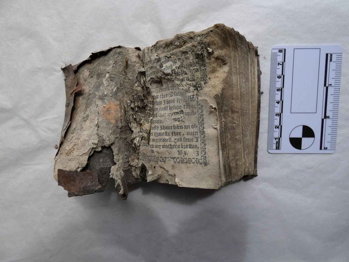 Rob's was a hard act to follow, but Woody and Steve were up to the task. Only two weeks ago, whilst removing a piece of wall-plate, they recovered an almost intact late C16th book from amongst the debris.