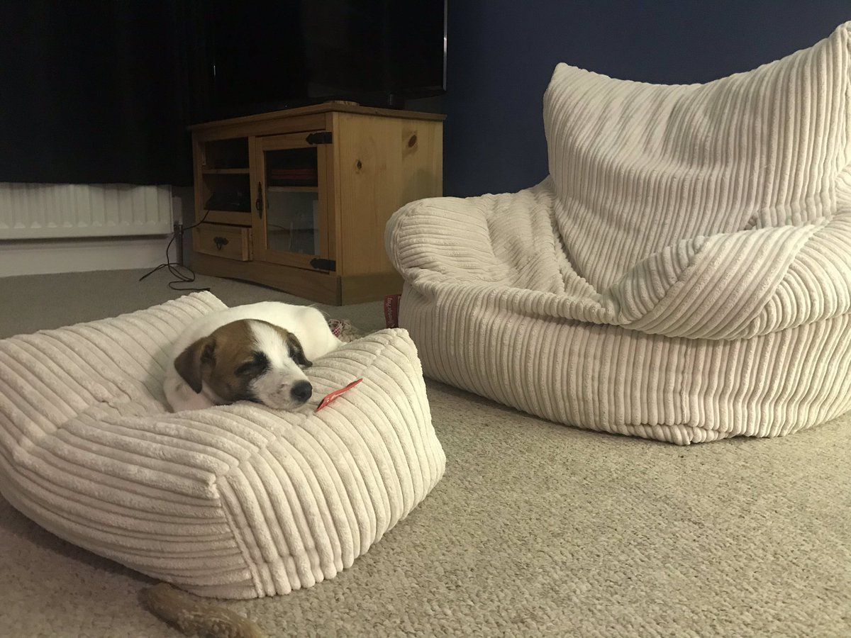 Laura Lexx - Touring NOW! tweet media