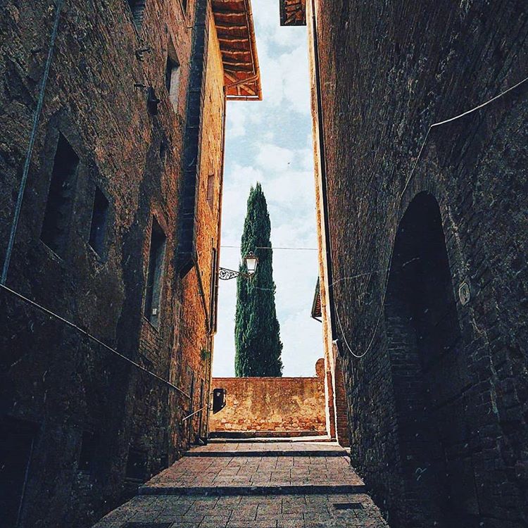 Colle di Val d'Elsa tweet media