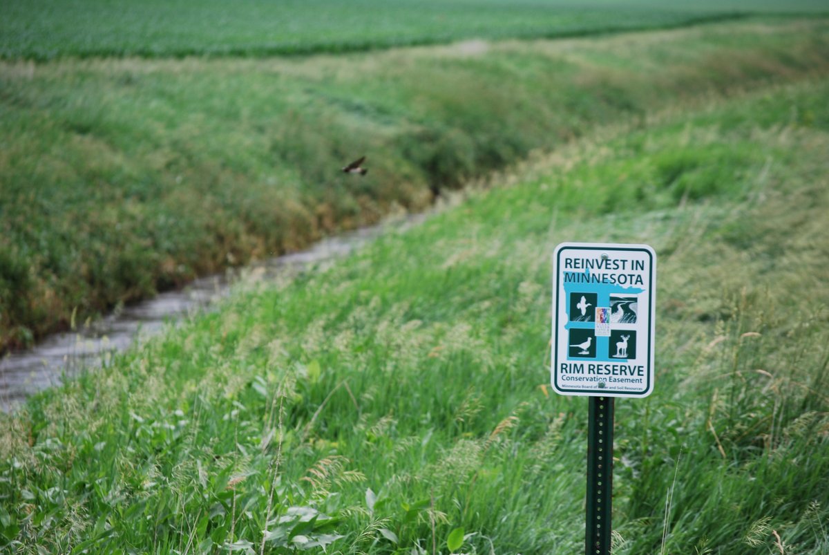 MNBWSR's tweet photo. MN CREP Outreach &amp; Implementation grants help 44 #SWCDs work w/ landowners to permanently protect environmentally sensitive land. Full story: https://t.co/7yjwcBnRKD
@MnSWCDs #conservation #environment #easements https://t.co/ReB9PCc46k