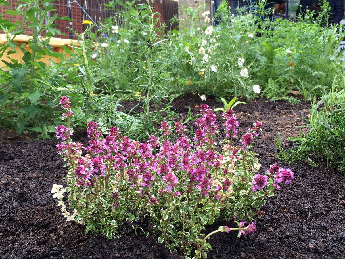 Wood Green is trending because of that video of a dude beefing a clown. 

For all the colour, without the hostility, and with extra tranquility, we’re working on something special just down the road. 
#LibraryGarden #ecoexist