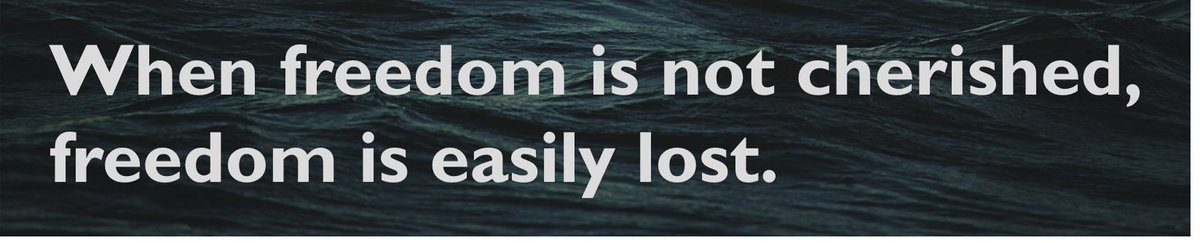 Spending the next several months engaged in mass peaceful protest will save us from untold oppression for the rest of our lives.When freedom is not cherished, freedom is easily lost. So, please, find the courage to protest.16 - END