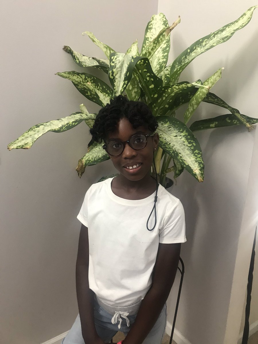 LaToya Smith King tweet media