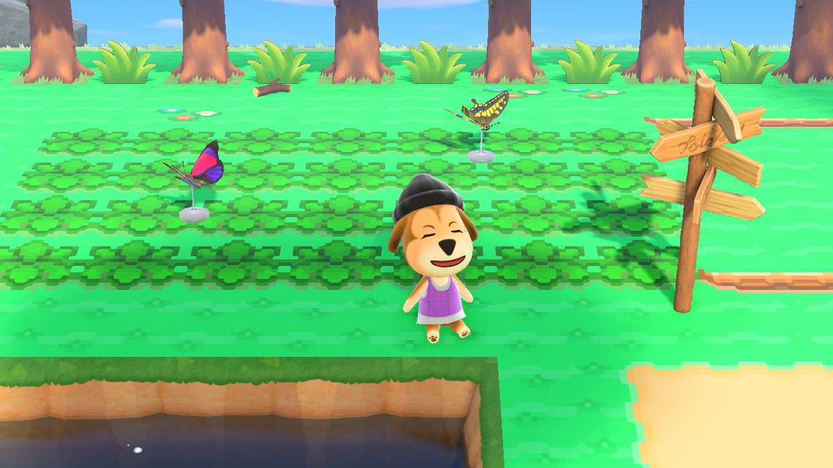 kwokrossing's tweet photo. update on sinnoh remake island: we got bridges, ledges, and berry spots !!! ;0

#AnimalCrossing #ACNH #NintendoSwitch https://t.co/U9kfVgcwRm