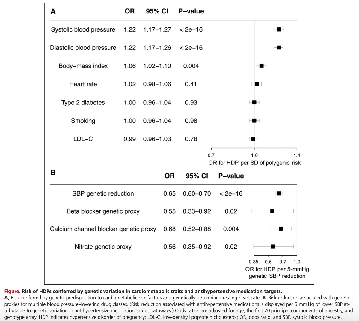 SBP + DBP genetic risk associated w/ HDP (OR 1.22/SD, P<2e-16 for both)Similar effects for gestational HTN only (OR 1.24) vs. preeclampsia (OR 1.19)BMI also associated w/ HDP (OR 1.06/SD, P=0.004)BP + BMI PRS were independent, additiveImplies BP + BMI causal for HDP