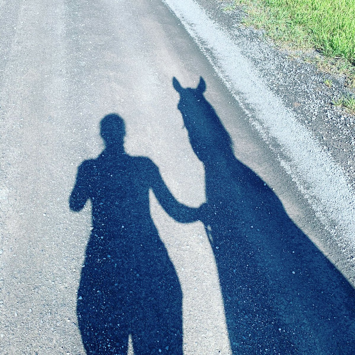 Just a girl and her horse 🐴 #afternoonwalks #retrain #gettingfit