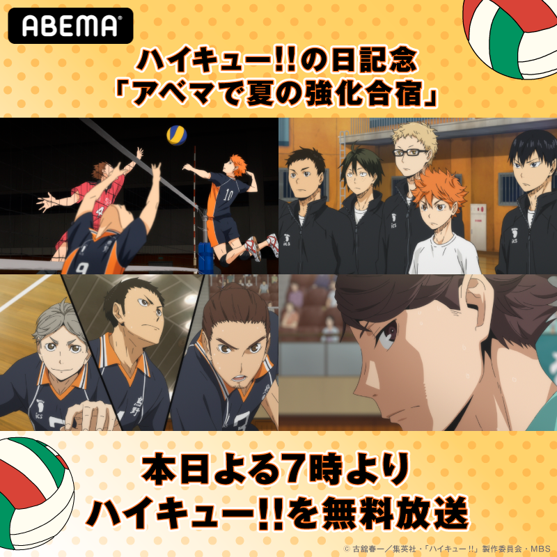Abemaアニメ アベアニ 8 19 ハイキューの日 記念 特別企画 アベマで夏の強化合宿 今夜7時から試合開始 ハイキュー 第13 25話を一挙 いよいよ明日は ハイキューの日 みんな盛り上がる準備はok これまでの日向たちのアツい戦いを