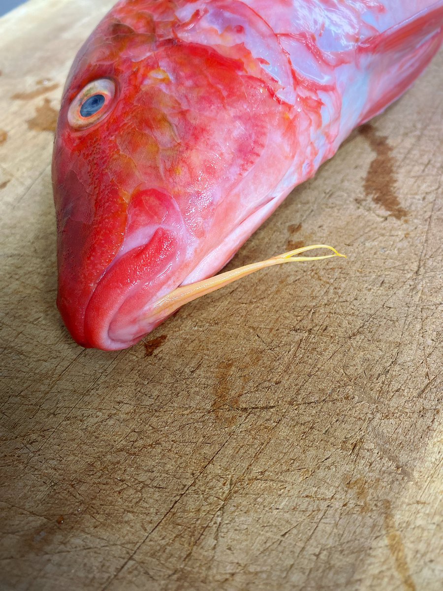 ママ 今日の晩御飯なに ババアよ わ いババア大好き あ おじさんの刺身もあるわよ Togetter ママ 今日の晩御飯なに ババアよ わ いババア大好き あ おじさんの刺身もあるわよ Togetter