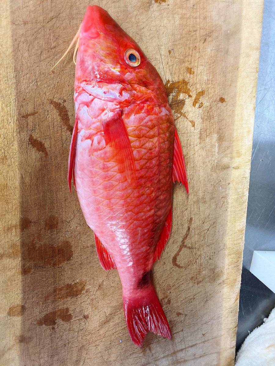 ママ 今日の晩御飯なに ババアよ わ いババア大好き あ おじさんの刺身もあるわよ Togetter ママ 今日の晩御飯なに ババアよ わ いババア大好き あ おじさんの刺身もあるわよ Togetter