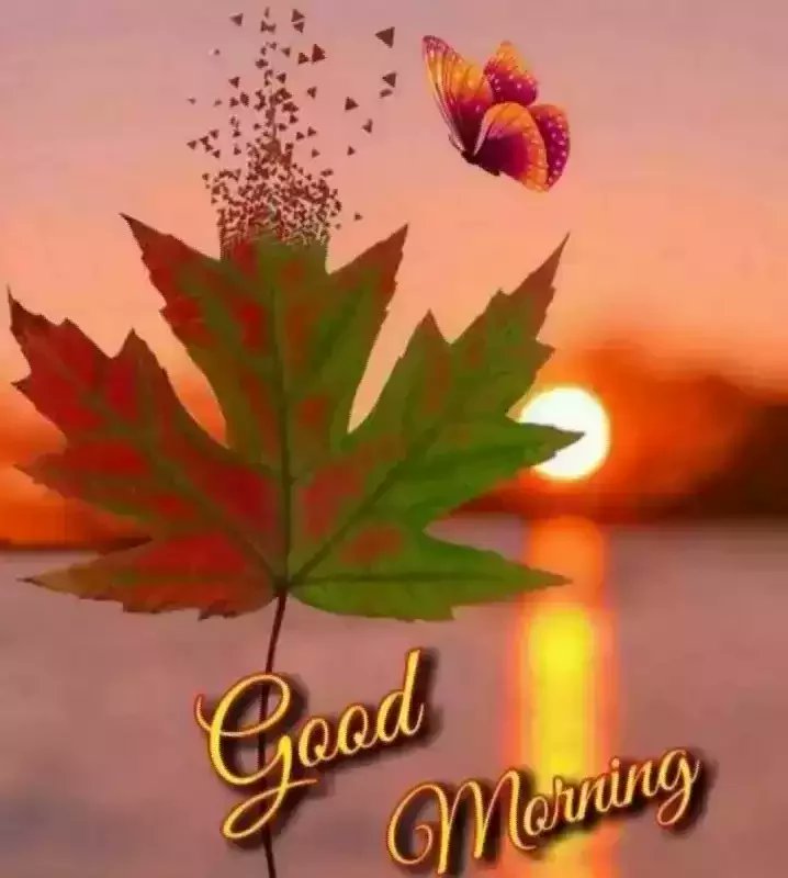 🇧🇩🇵🇭🇸🇦 Rj ABIR 🇧🇩🇧🇩🇧🇩 tweet media