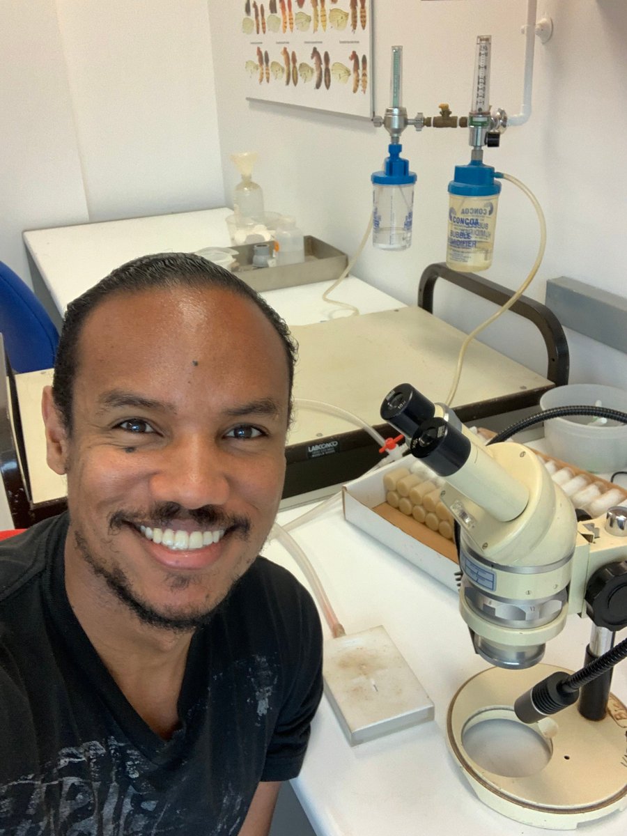 RunDME's tweet photo. Whew didn't miss it! Hi I'm Dwayne👋🏾 I'm a PhD student in @BBS_Harvard. My research examines the genetic mechanisms in germ cells and the insulin signaling pathway that regulate reproduction in the fruit fly species of Drosophila  #BlackInGeneticsWeek #BlackInGeneticsRollCall https://t.co/Y9fOCkc3ZV