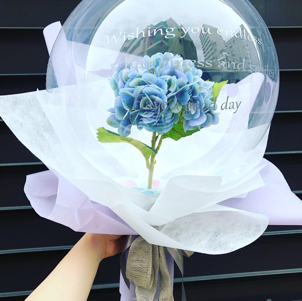 תג 韓国花束 בטוויטר