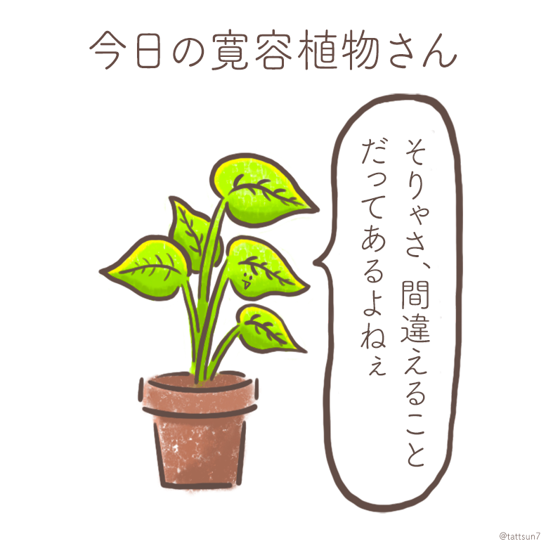 今日の寛容植物さん? 