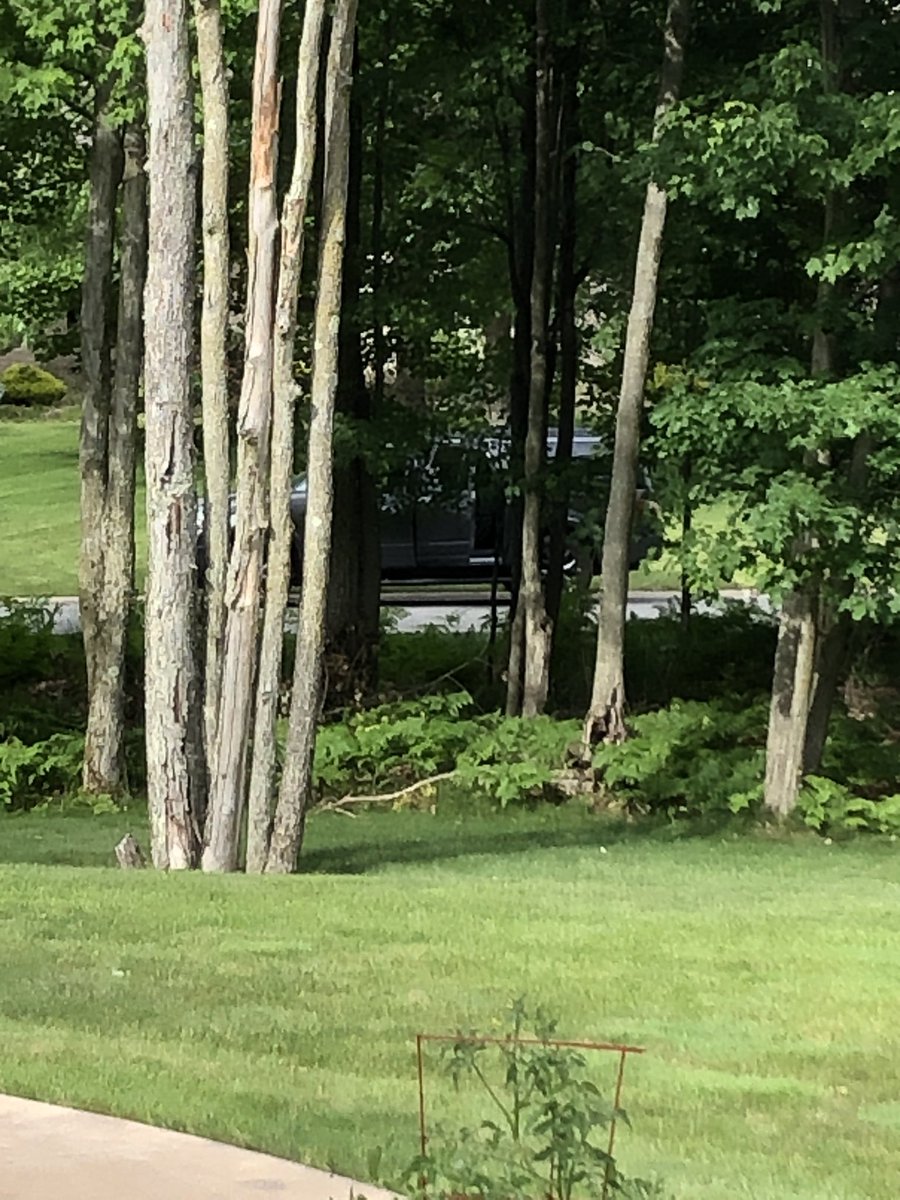 11/ Same story with this car. The rear door was open. Odd. I took this picture and started jogging toward it. Off it went.