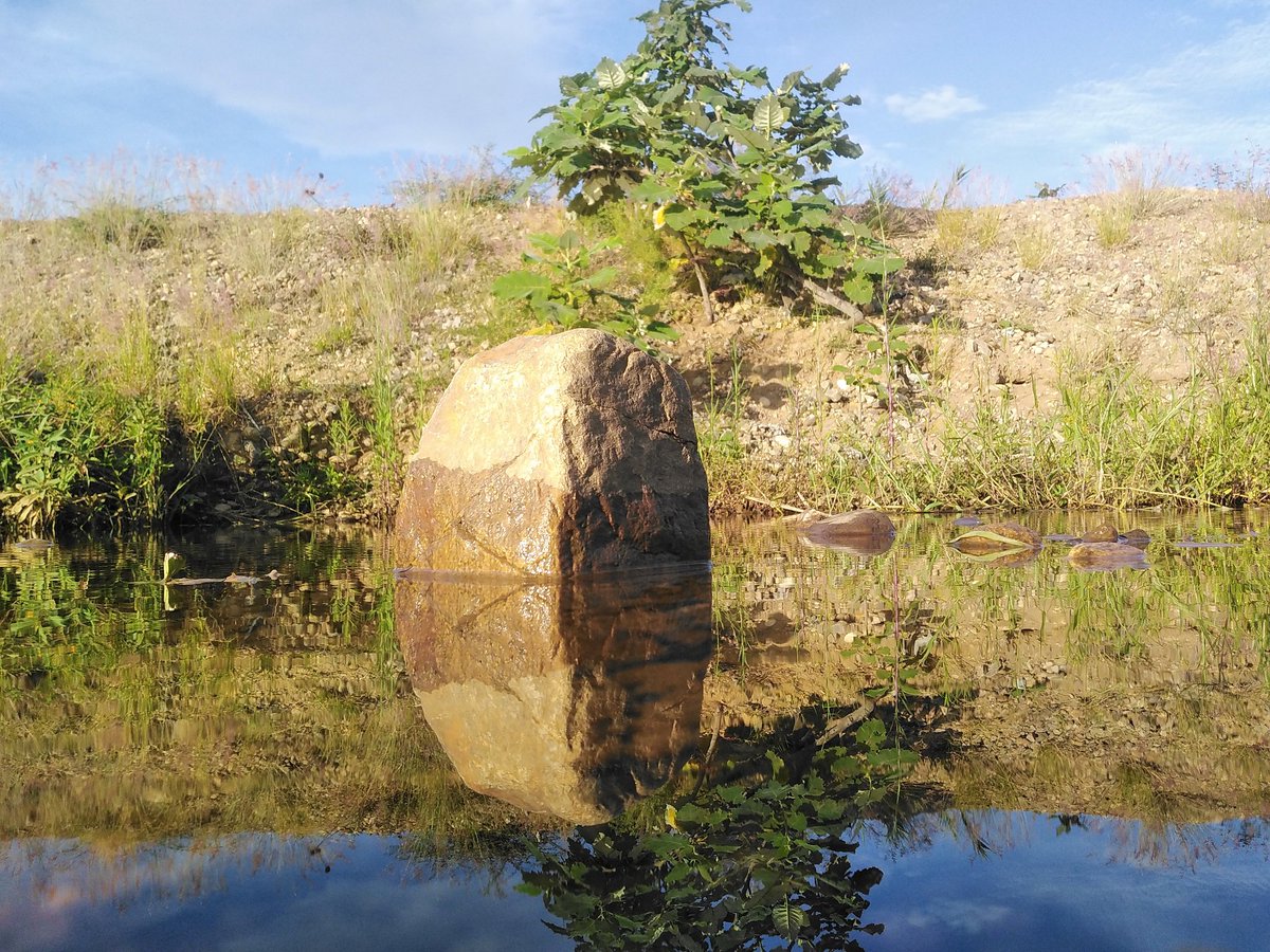 diego02aragon's tweet photo. #natural #agua #VERDE https://t.co/kl0oXmbJLn